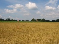 Gewasonderzoek op landbouwkavels