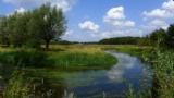 Triade-onderzoek in het Dommeldal