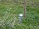 Systeemgericht grondwaterbeheer