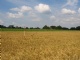 Gewasonderzoek op landbouwkavels